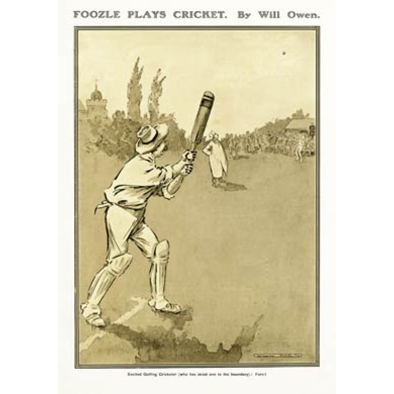 Foozle Plays Cricket