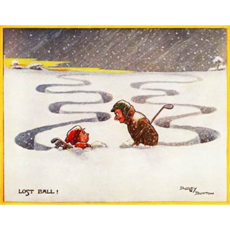 Lost Ball
