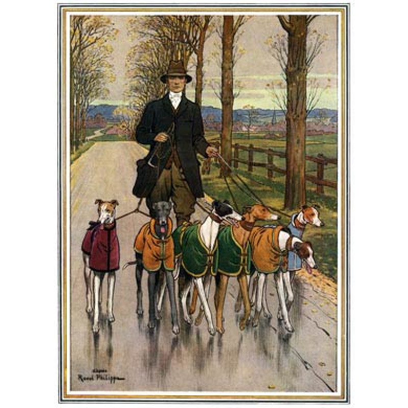 Greyhounds at Exercise