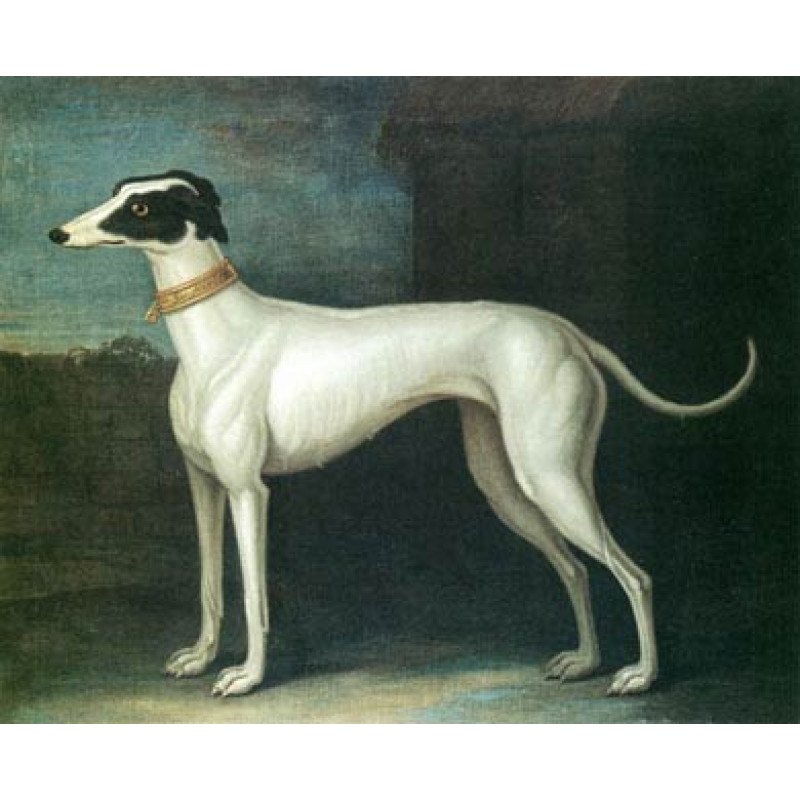 Greyhound Painting