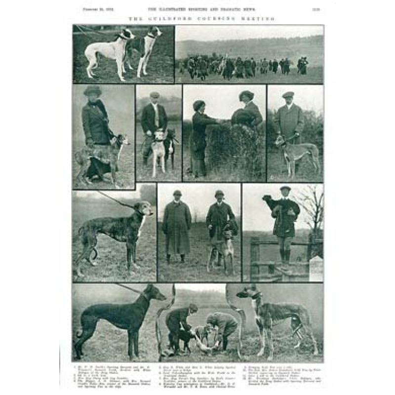 Guildford Coursing Meeting