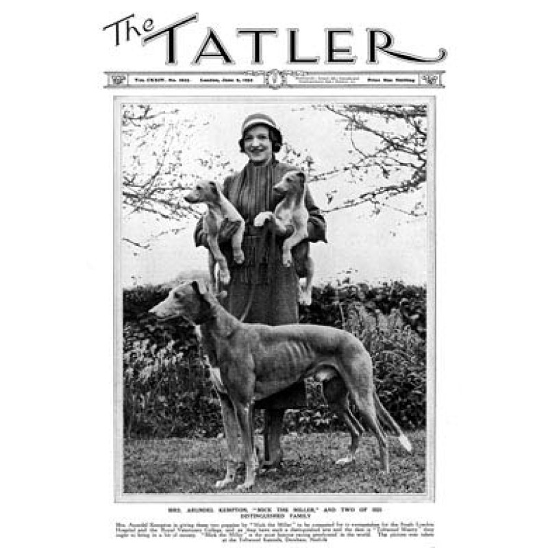 Mick The Miller