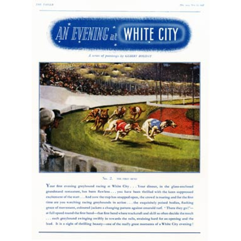 Greyhound Derby