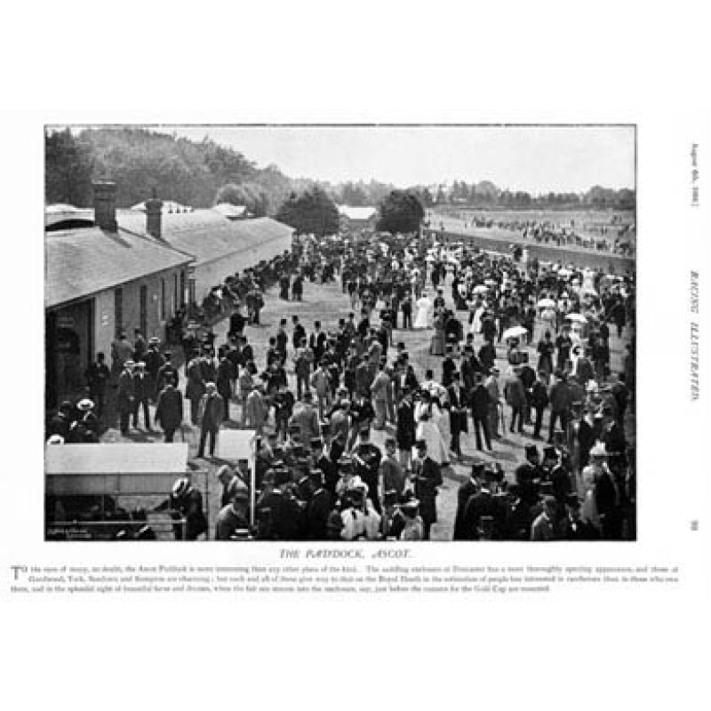 Ascot, The Paddock, 1895