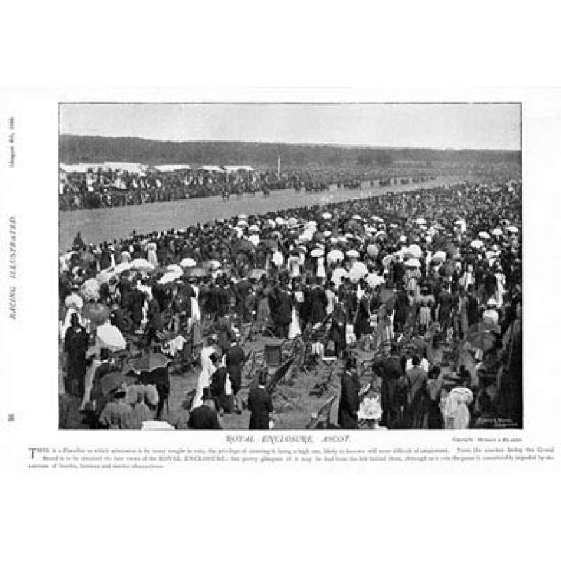 Ascot, Royal Enclosure, 1895