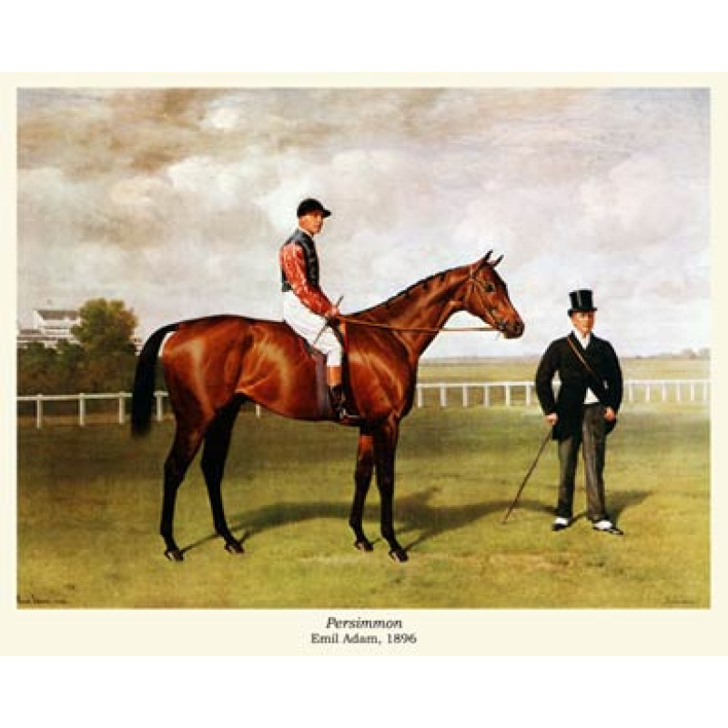 Persimmon, 1896