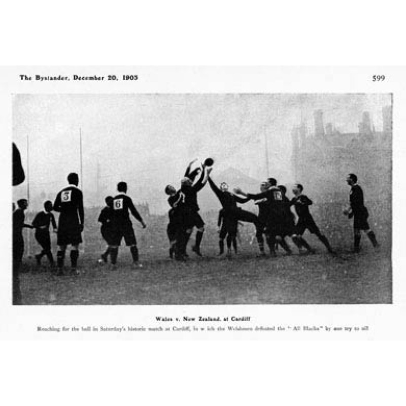 Wales v New Zealand, 1905