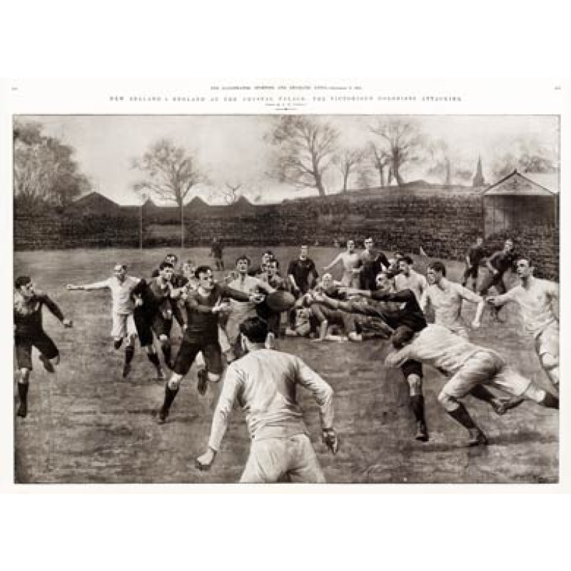 England v New Zealand, 1905