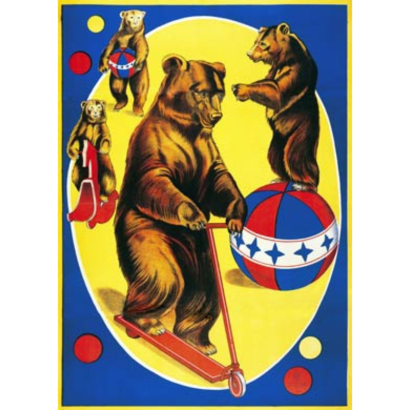 Circus Bears