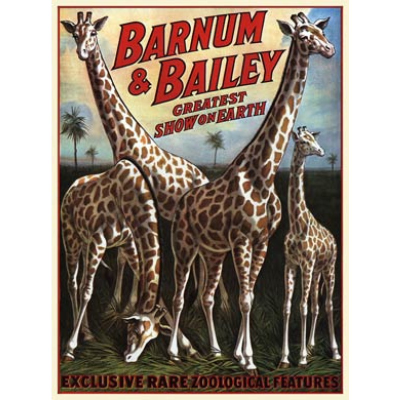 Barnum and Bailey, Giraffes, 1917