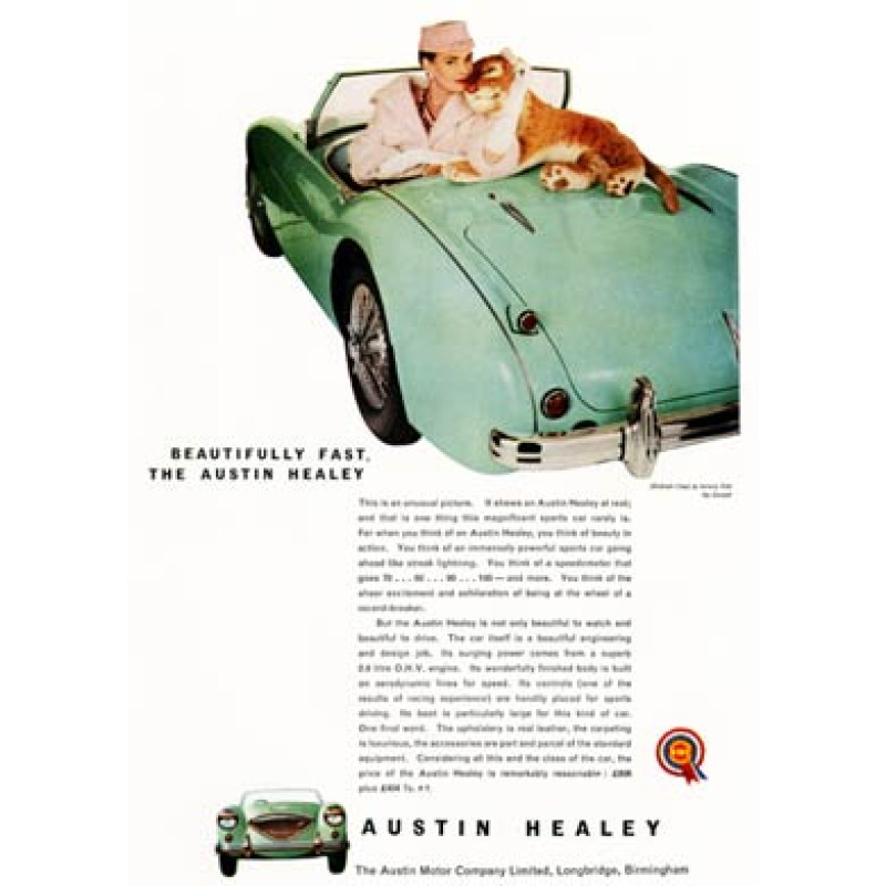 Austin Healey, Beautifully Fast