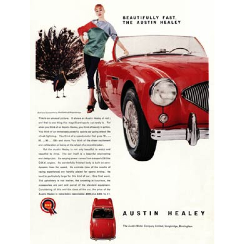 Austin Healey Sports, 1956