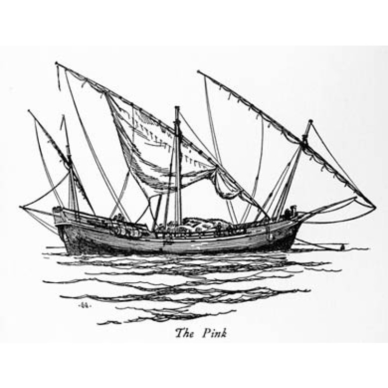 Pink Merchantman