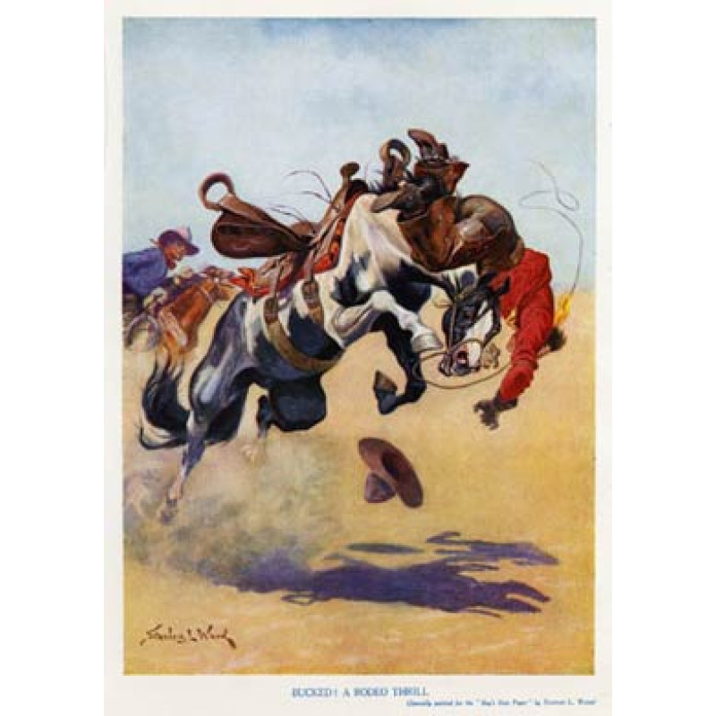 Bucked, A Rodeo Thrill