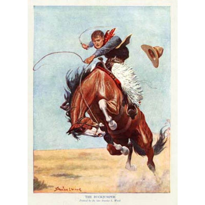 The Buckjumper