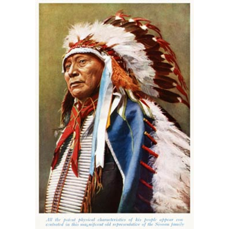 Sioux Indian Chief