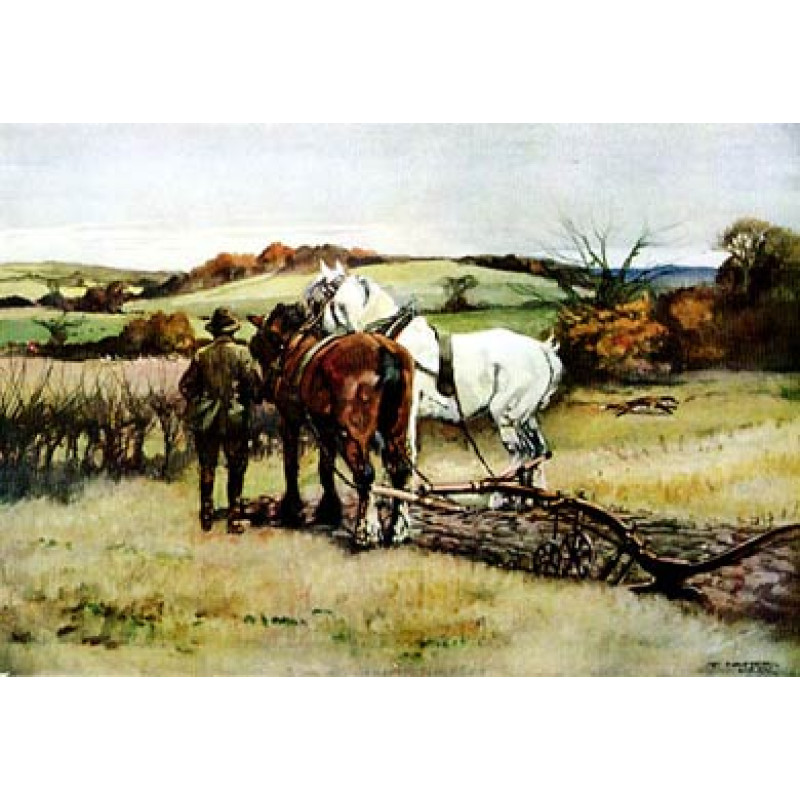 End Of The Furrow