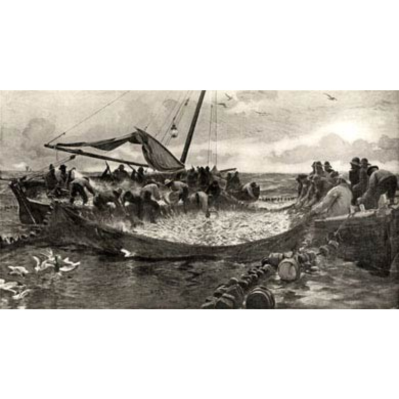 Pilchard Fishing, 1912