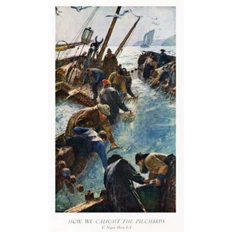 How We Caught The Pilchards