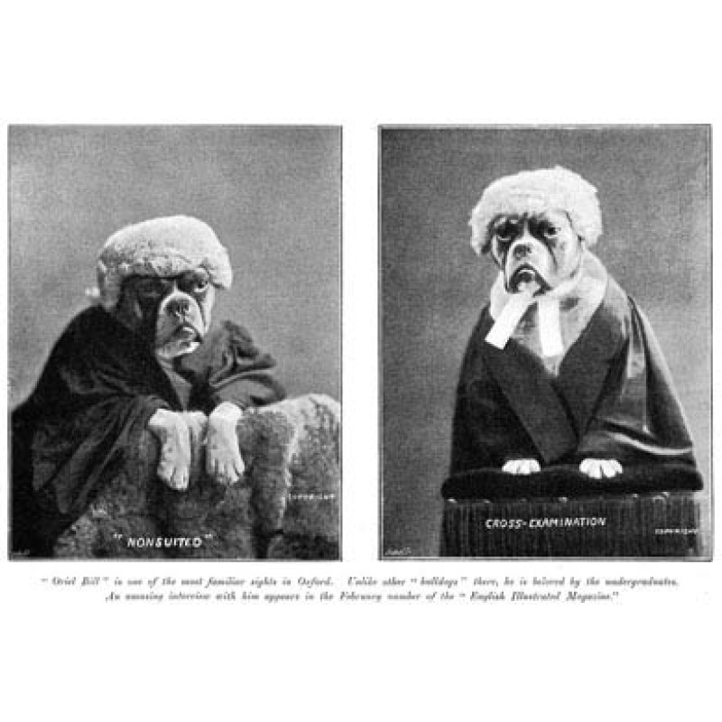 Oriel Bill