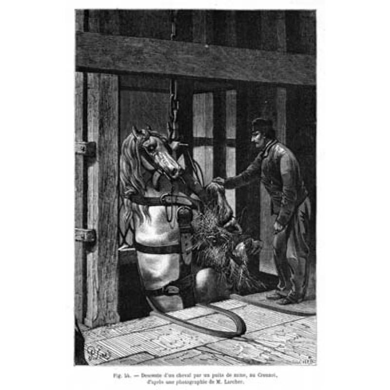 Pit Pony Descends, 1866