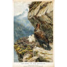 Children Of The Mountain