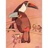 Toucan