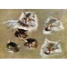 Some Pussies Heads