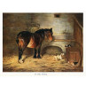 In The Stable