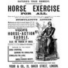 Horse Exercise For All