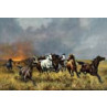 Prairie Fire