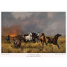 Prairie Fire