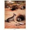 Rabbits