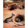 Rabbits