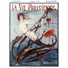 Mermaid In The Net