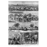 The Sherry Vintage, 1876