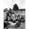 Hop Pickers In Kent