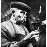 The Wine Taster