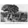 Grape Pickers, Burgundy