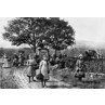 Grape Pickers, Burgundy