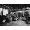 Madeira Wine Press