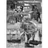 Cornish Pilchard Factory, 1891