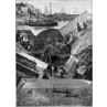 Cornish Pilchard Fishing, 1883