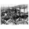 Pilchard Drivers At Newlyn