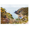 Lamorna Cove