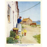 Scilly, Cottage Flower Grower, Tresco