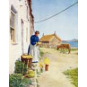 Scilly, Cottage Flower Grower, Tresco