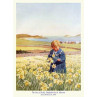 Scilly, Daffodils On St Martins