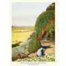 Scilly, Picking Flowers By Castle Rocks