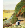 Scilly, Picking Flowers By Castle Rocks